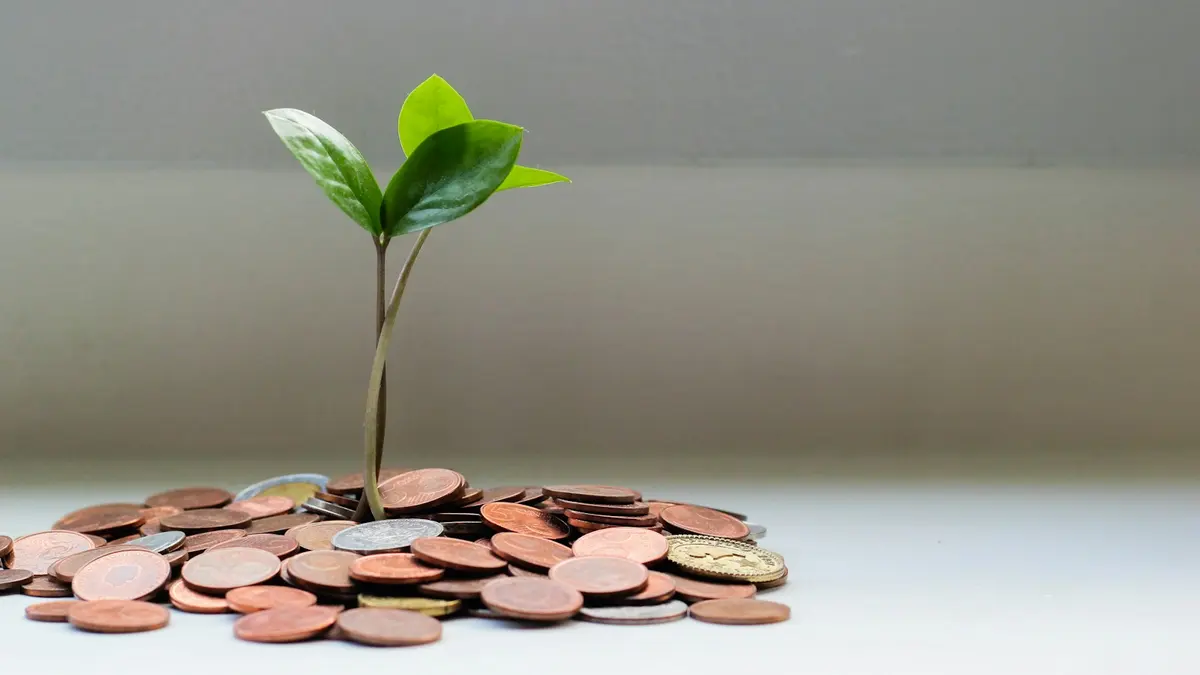 Avantages fiscaux : ce que votre petite société peut récupérer